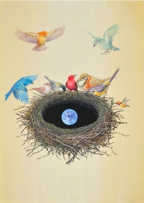 Birds' Nests of the World