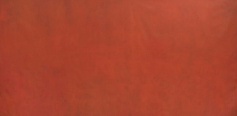 No.1502 　250×500cm　2015年　Oil on canvas