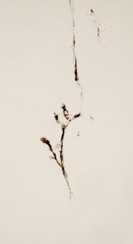 IMPROVISATION2014 no.21