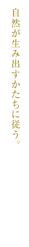 自然が生み出すかたちに従う。