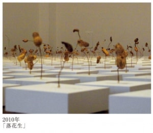 「落花生」