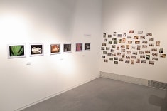 ワークショップ2011