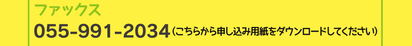 夏休み子どもワークショップ