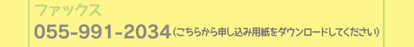 夏休み子どもワークショップ