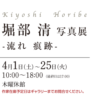陶芸家 杉浦健司 展