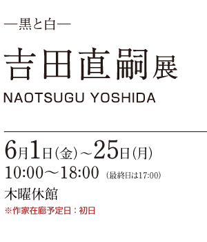 吉田 直嗣 展