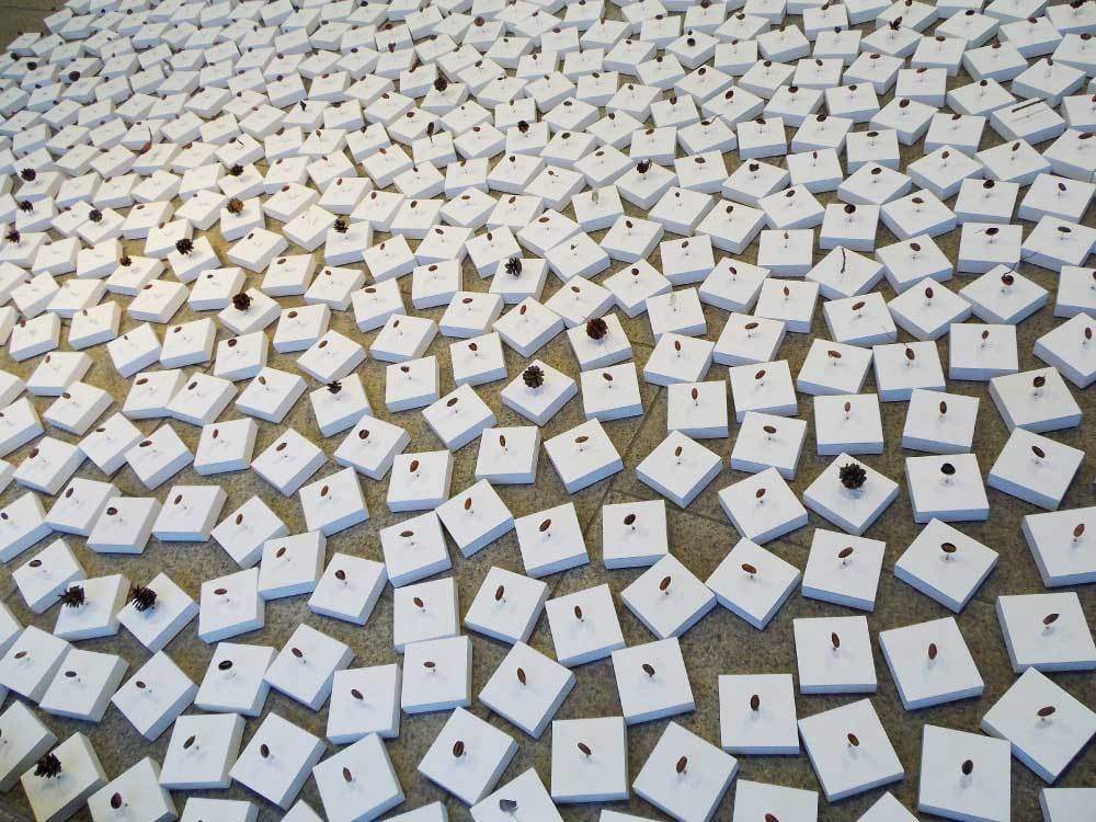 「図書館の庭で拾う」越谷市立図書館　2017年