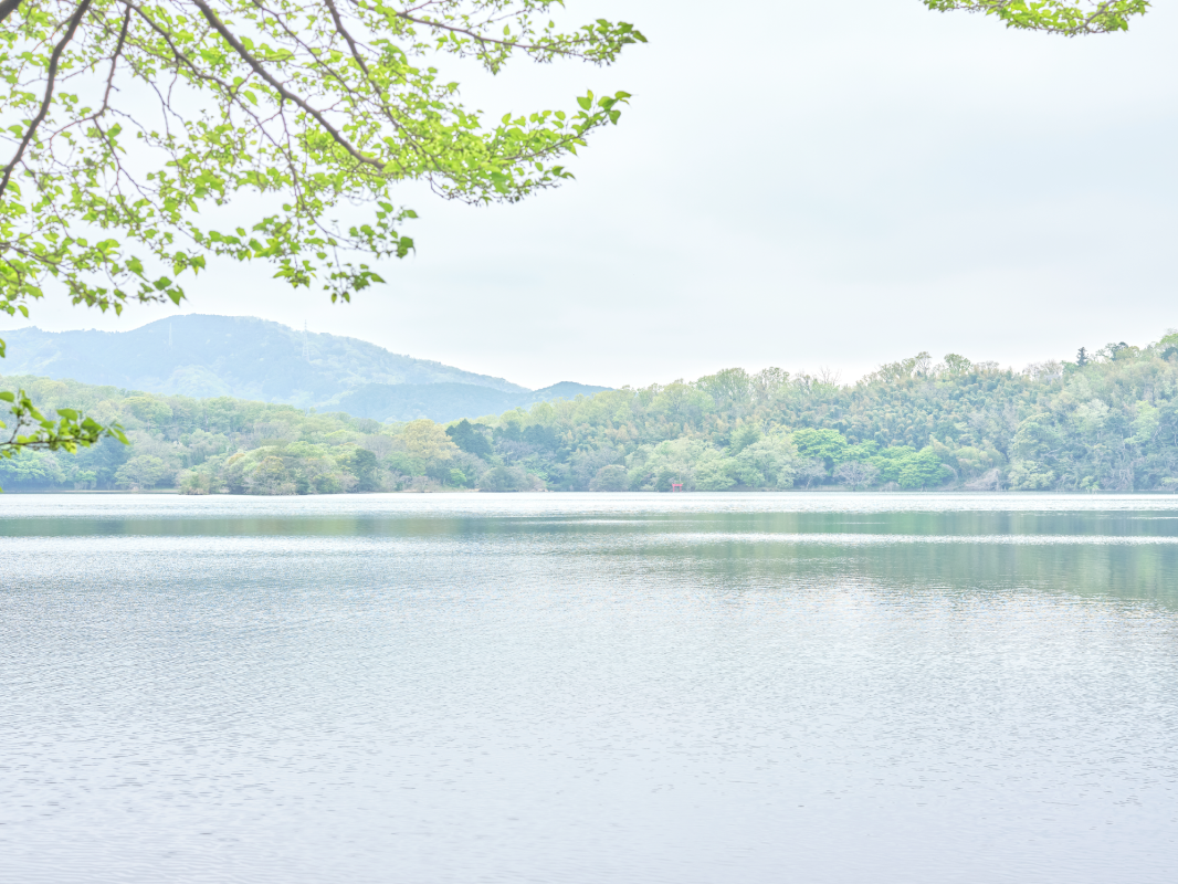 眞野敦写真展～つづきとこれから