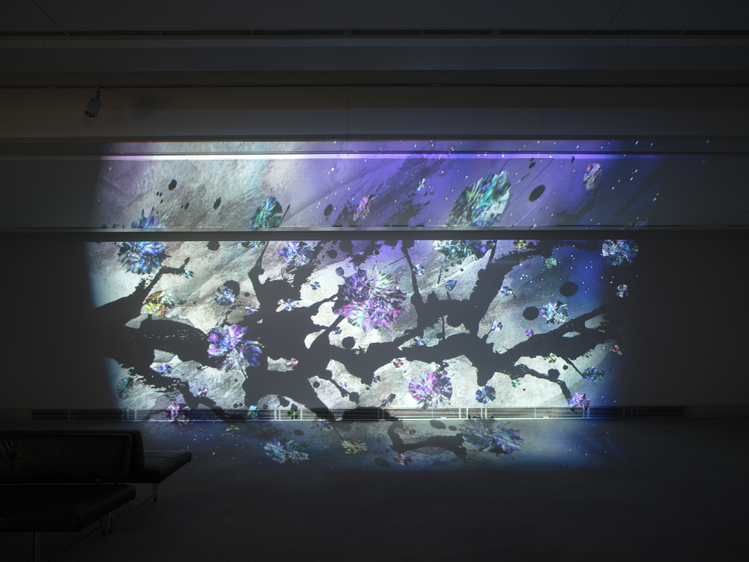展覧会の様子03