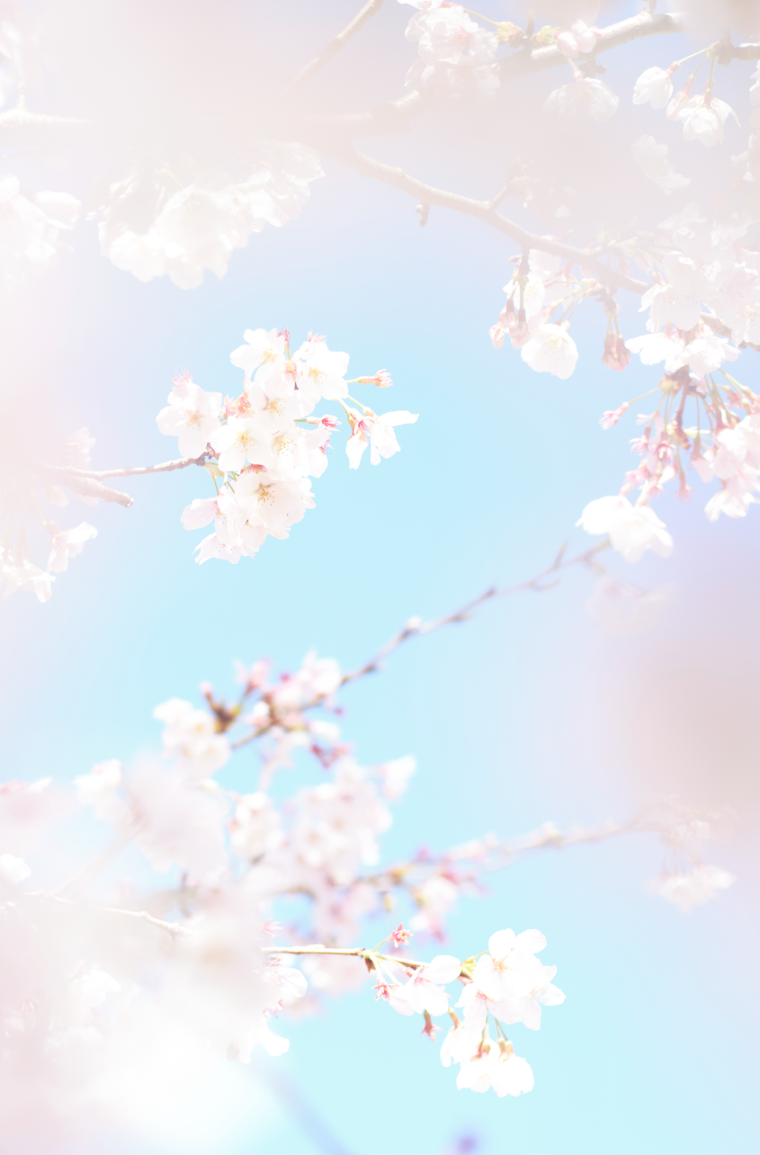 眞野敦写真展～つづきとこれから