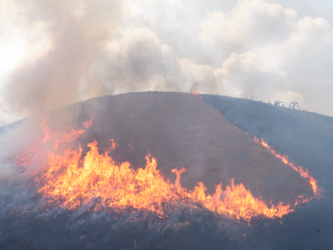 眞野敦写真展～つづきとこれから