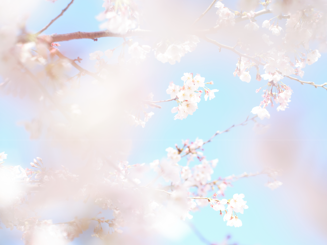 眞野敦写真展～つづきとこれから